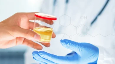 How Long Does HHC Gummies Stay in Your System?