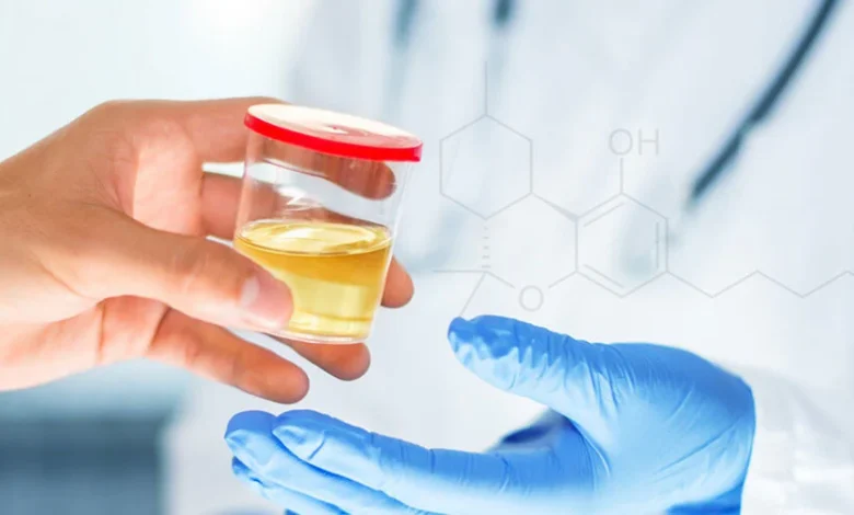 How Long Does HHC Gummies Stay in Your System?