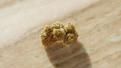 Low potency THCA strains for beginners to get started