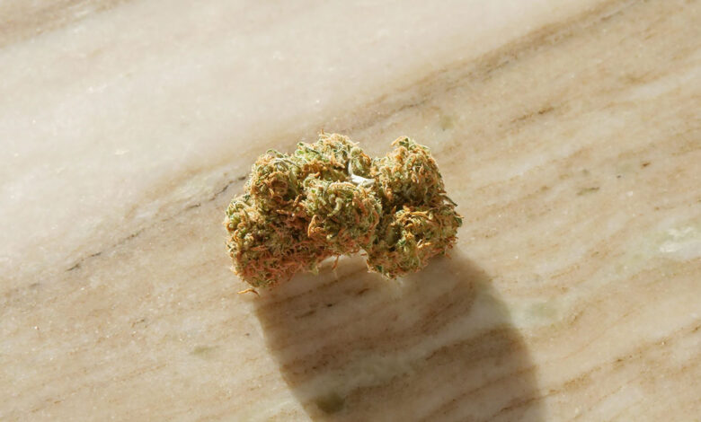 Low potency THCA strains for beginners to get started