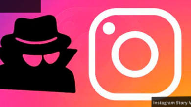 Instagram Story Viewer