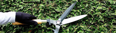 Understanding the Importance of Garden Aftercare