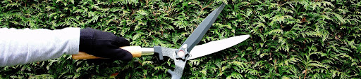 Understanding the Importance of Garden Aftercare