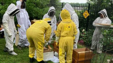 Buzz-Worthy Fashion The Ultimate Suit for Bees