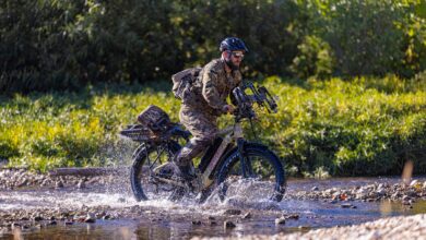 Quiet cat electric hunting bike