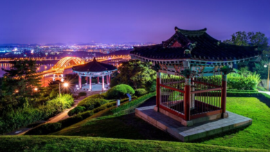 Daegu Nights: A Rich Tapestry of Culture and Relaxation