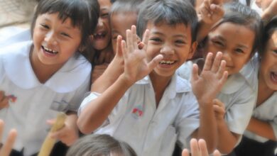 Why Send Children to School